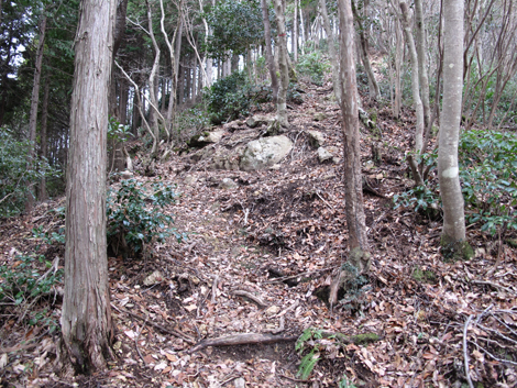 20140102hike (81)